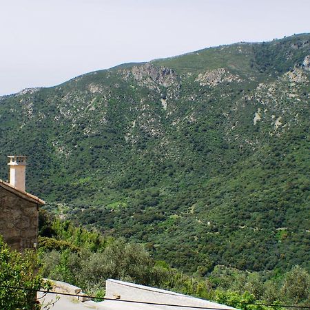 Studio Le Petit Nid D'Amour Meuble Tourisme 3 Etoiles Poggio Santa-Lucia-di-Tallano Екстериор снимка