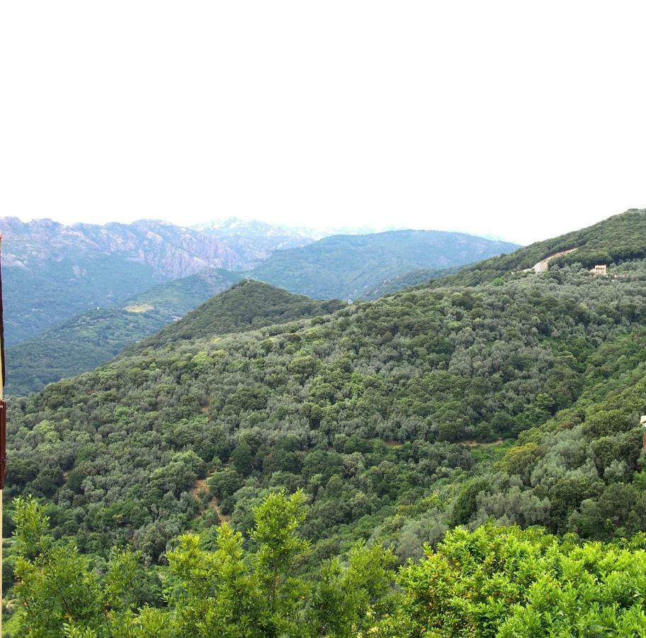 Studio Le Petit Nid D'Amour Meuble Tourisme 3 Etoiles Poggio Santa-Lucia-di-Tallano Екстериор снимка
