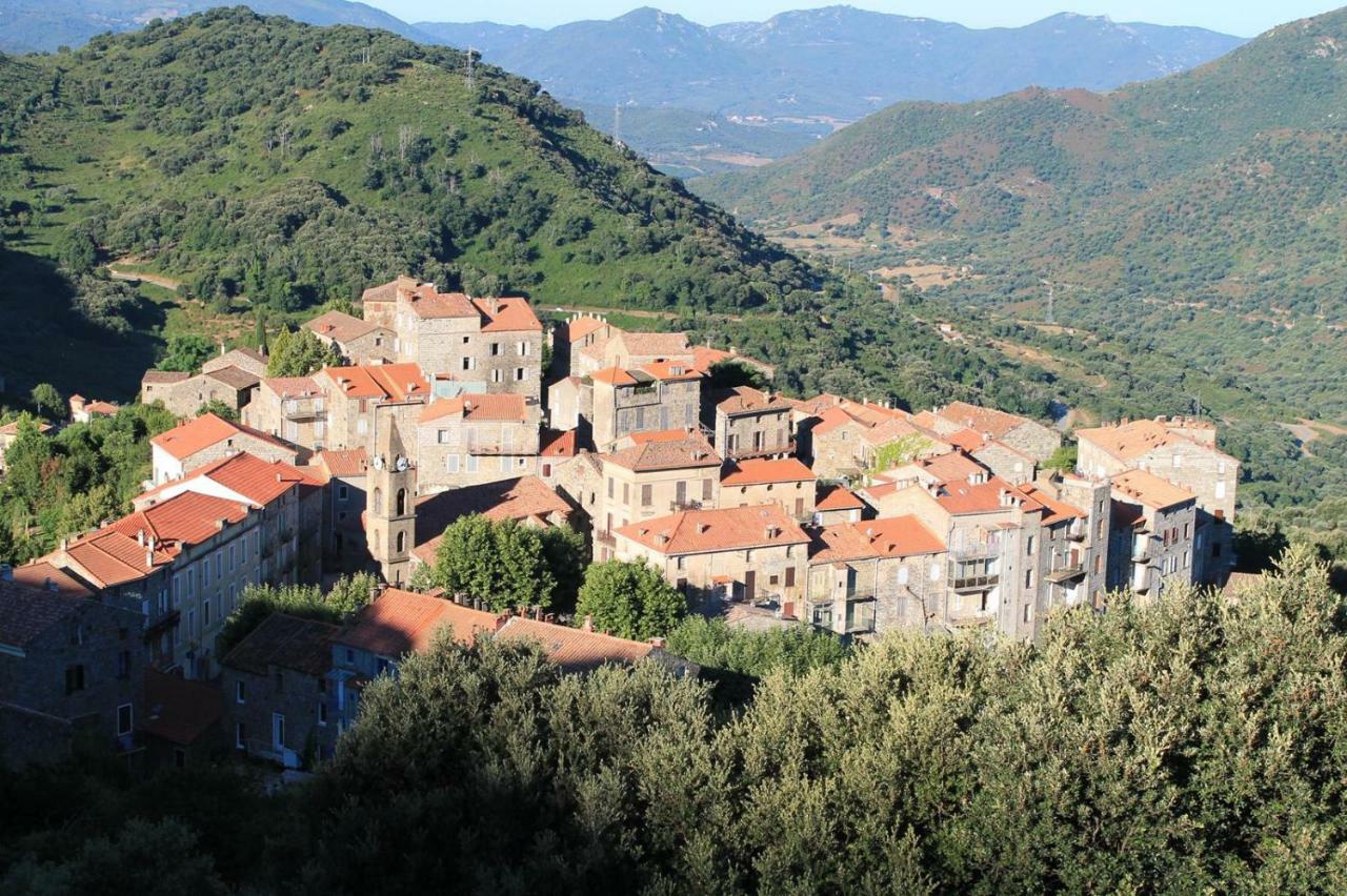 Studio Le Petit Nid D'Amour Meuble Tourisme 3 Etoiles Poggio Santa-Lucia-di-Tallano Екстериор снимка