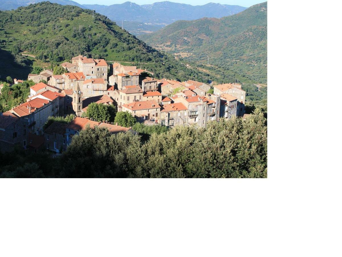 Studio Le Petit Nid D'Amour Meuble Tourisme 3 Etoiles Poggio Santa-Lucia-di-Tallano Екстериор снимка